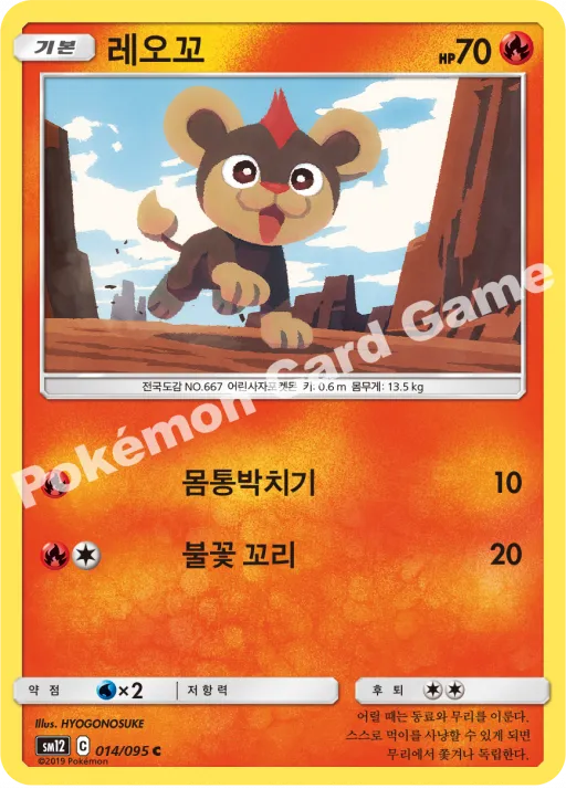 레오꼬