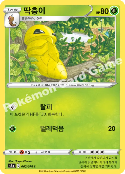 딱충이