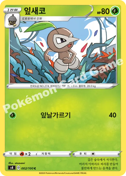 잎새코