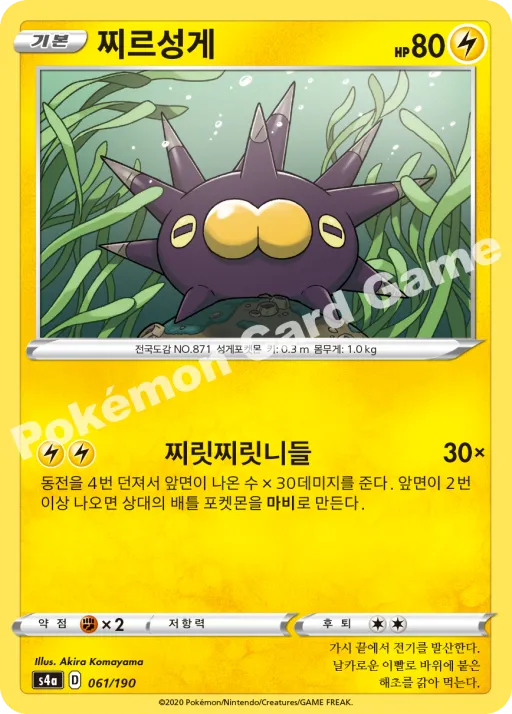 찌르성게