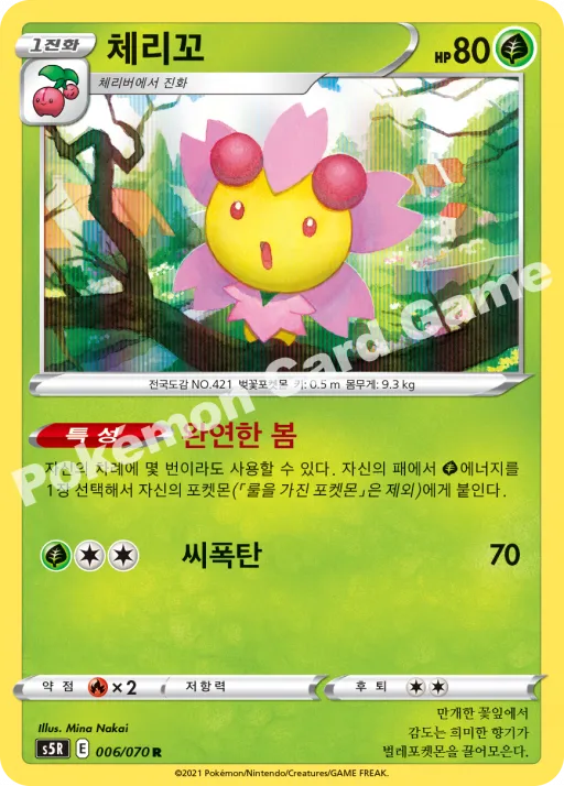 체리꼬