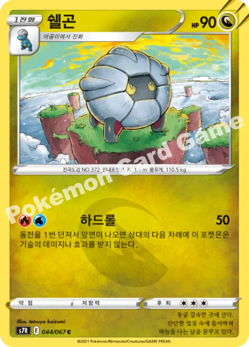 쉘곤