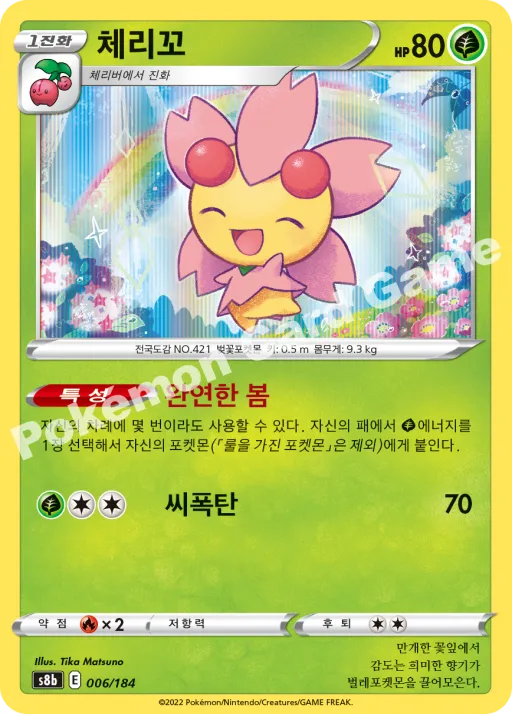 체리꼬