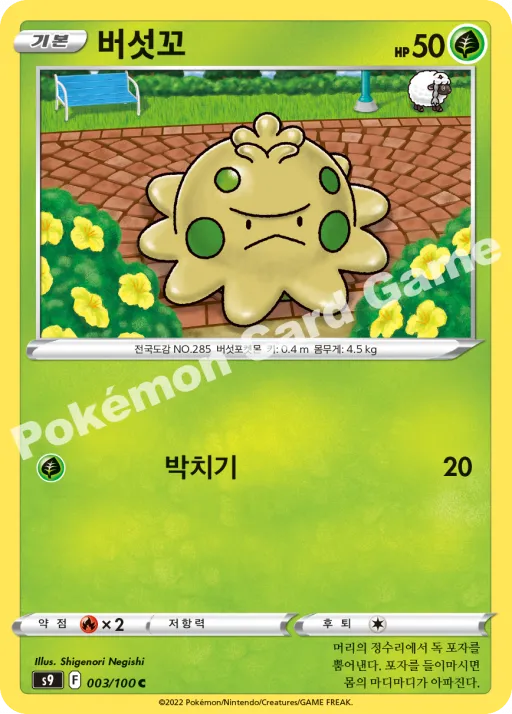 버섯꼬