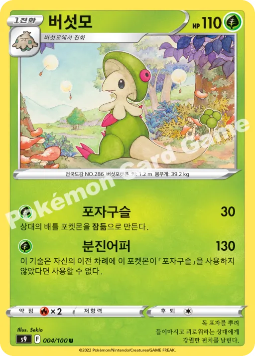 버섯모