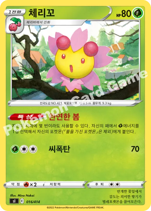 체리꼬