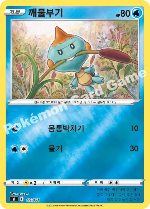 カムカメ