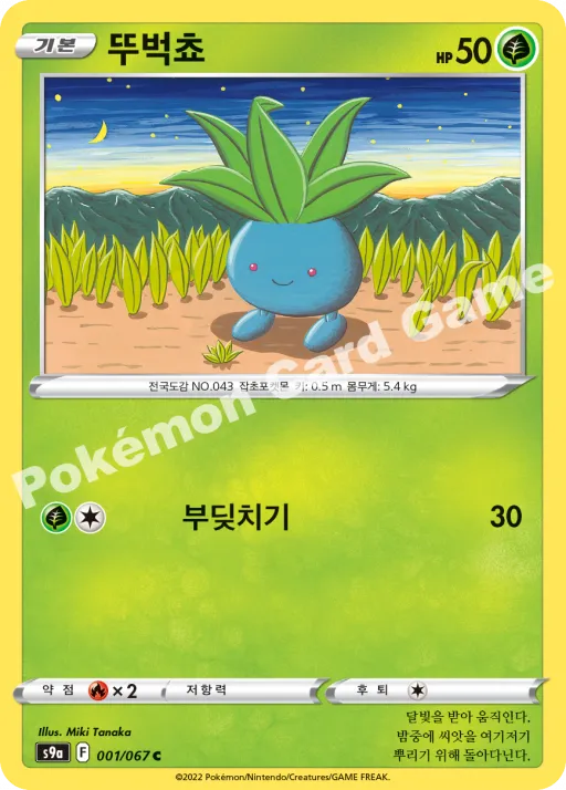 뚜벅쵸