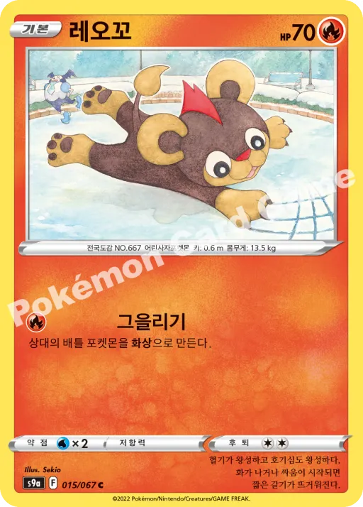 레오꼬