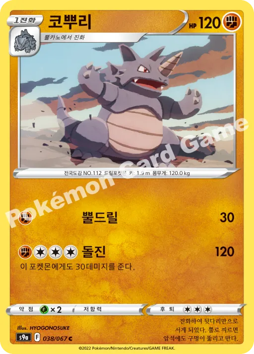 코뿌리