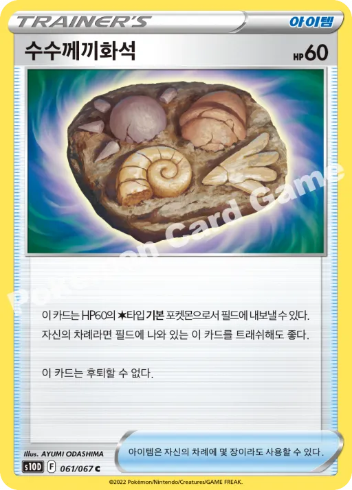 수수께끼화석