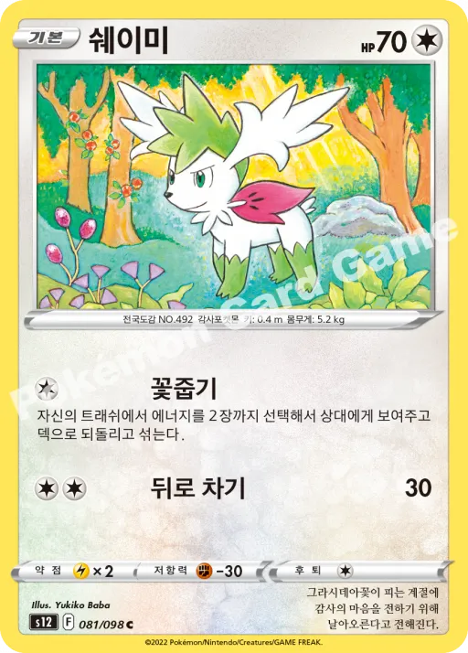쉐이미