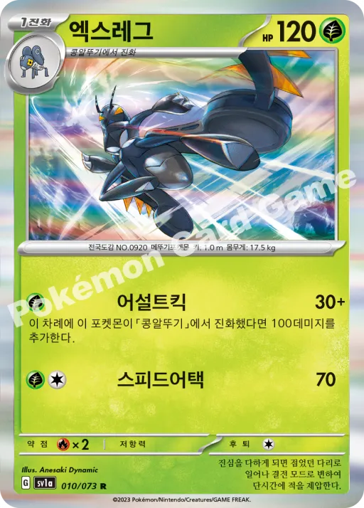 엑스레그