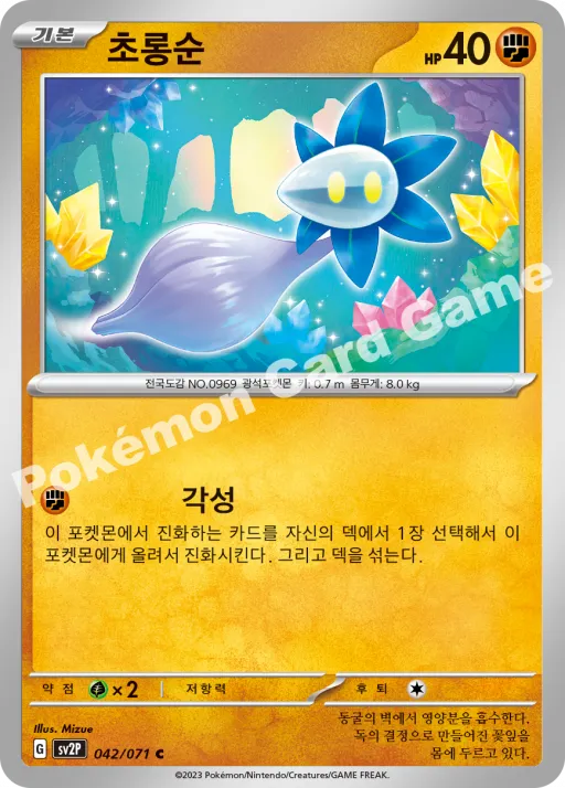 초롱순