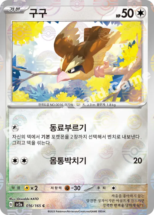 ポッポ