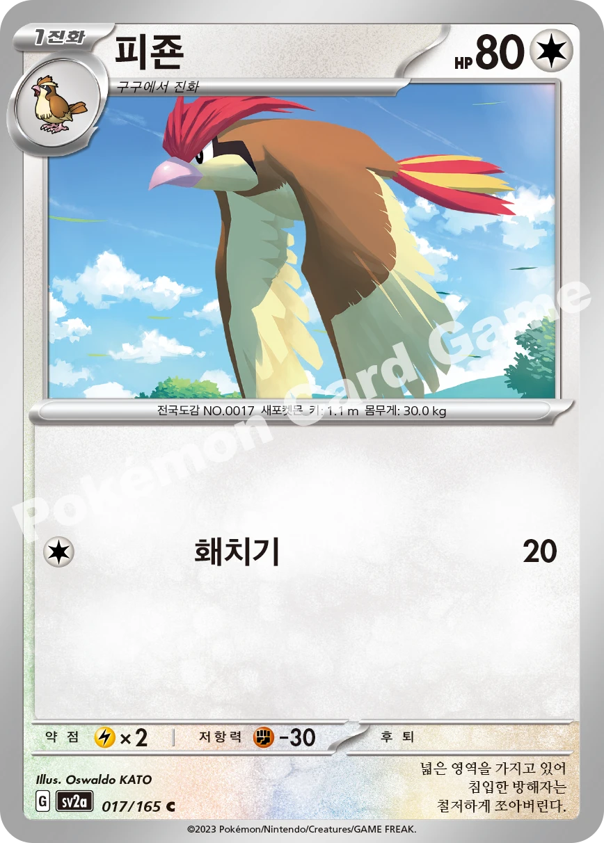 피죤
