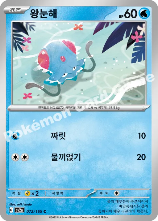 왕눈해