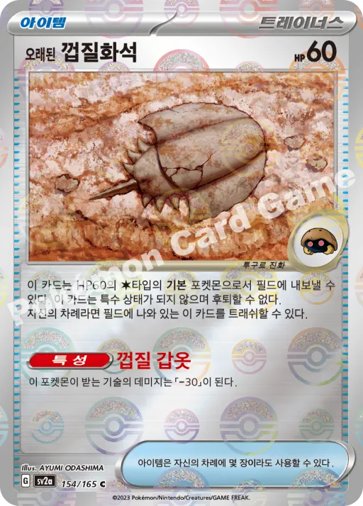 오래된 껍질화석