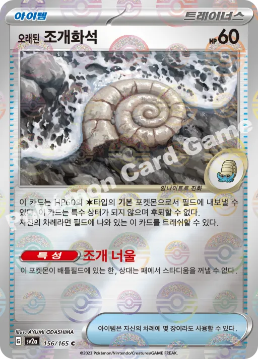 오래된 조개화석