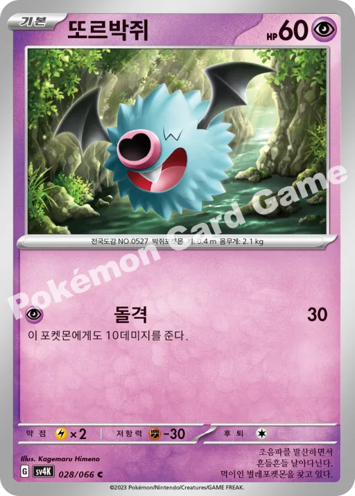 또르박쥐