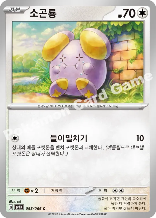 소곤룡