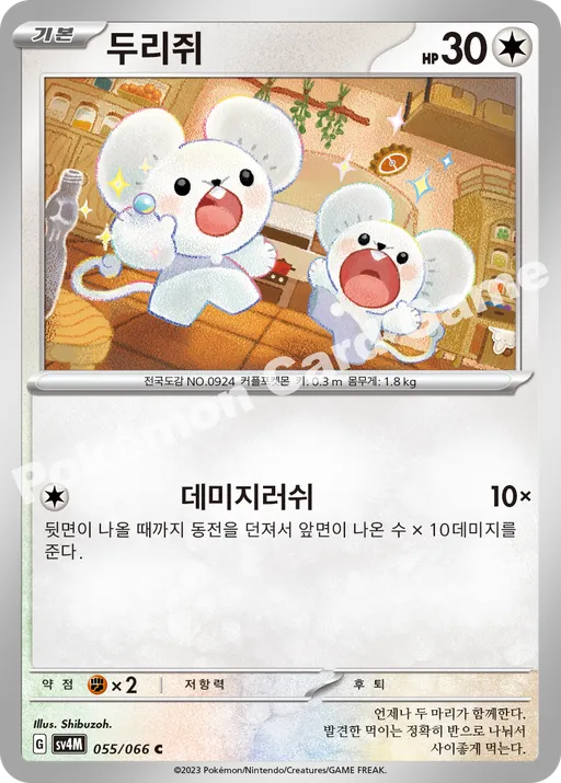 두리쥐