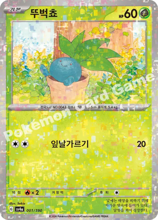 뚜벅쵸