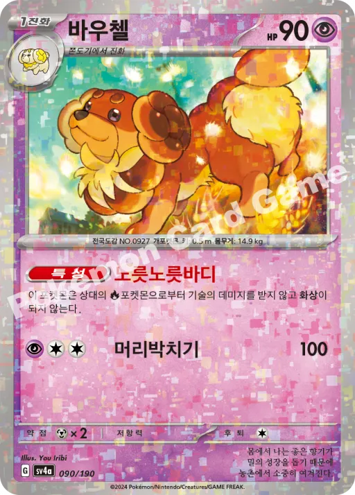 바우첼