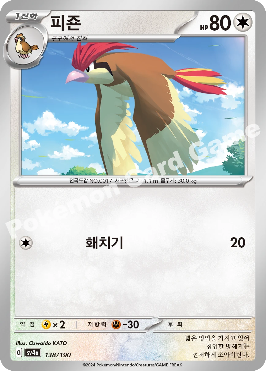 피죤