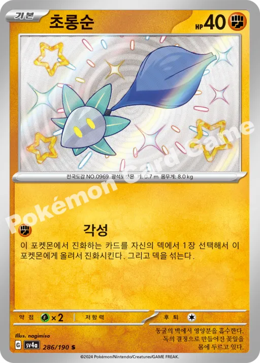 초롱순