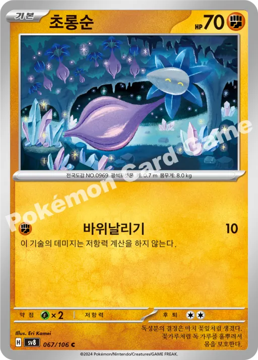 초롱순