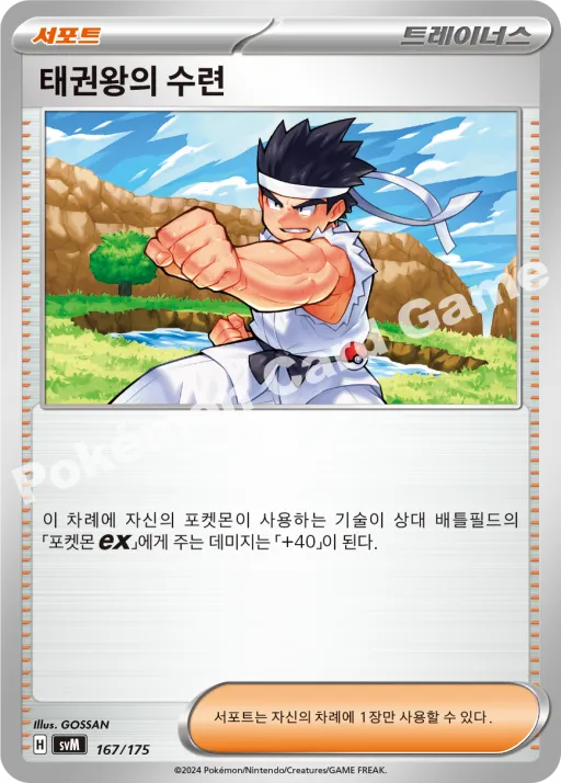 태권왕의 수련