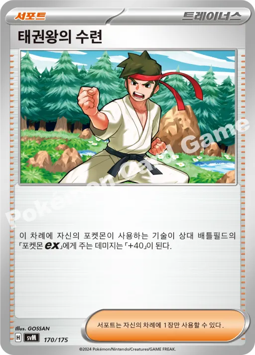 태권왕의 수련