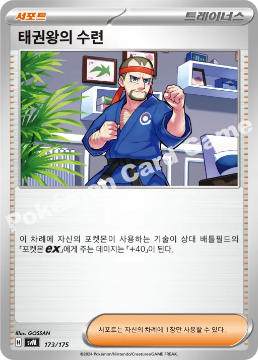 태권왕의 수련