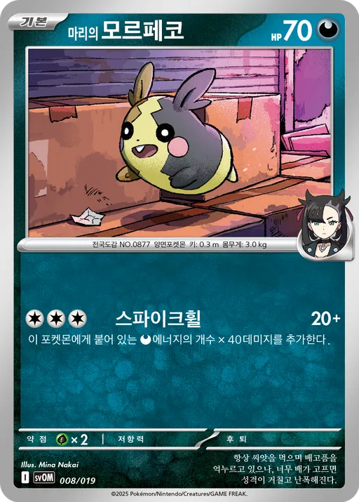 마리의 모르페코