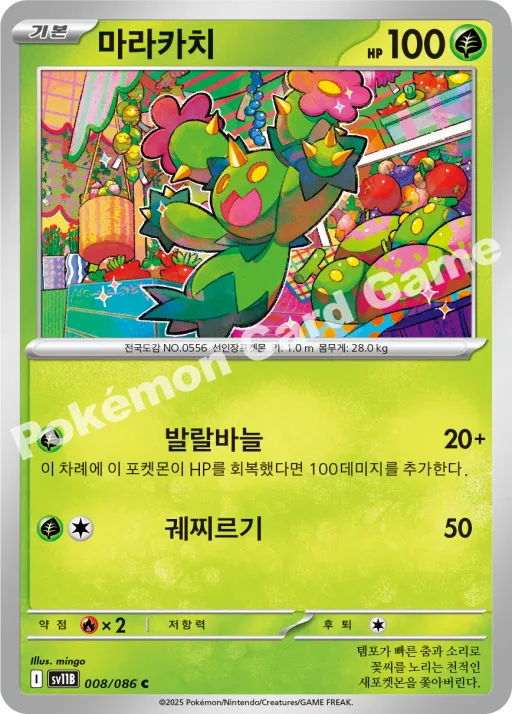 마라카치