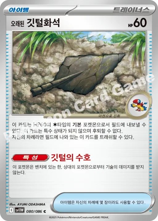 오래된 깃털화석