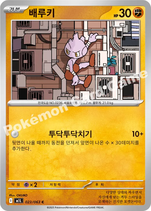 배루키