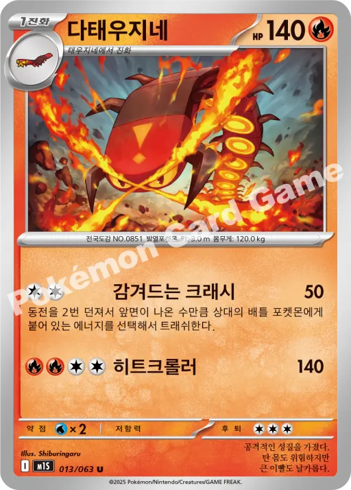 다태우지네