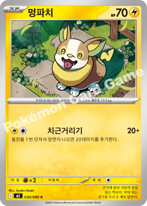 멍파치