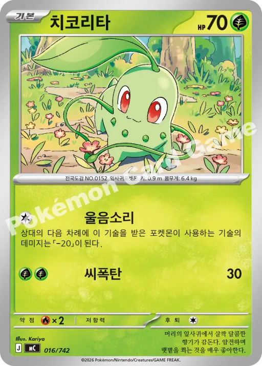 치코리타
