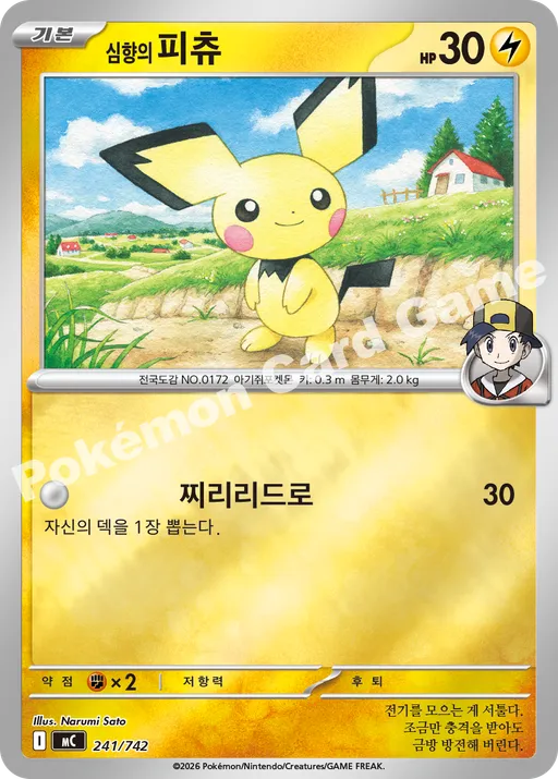 심향의 피츄