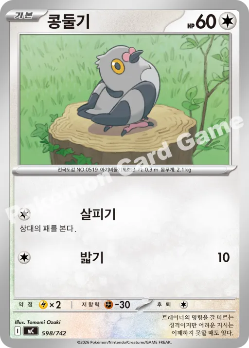 콩둘기