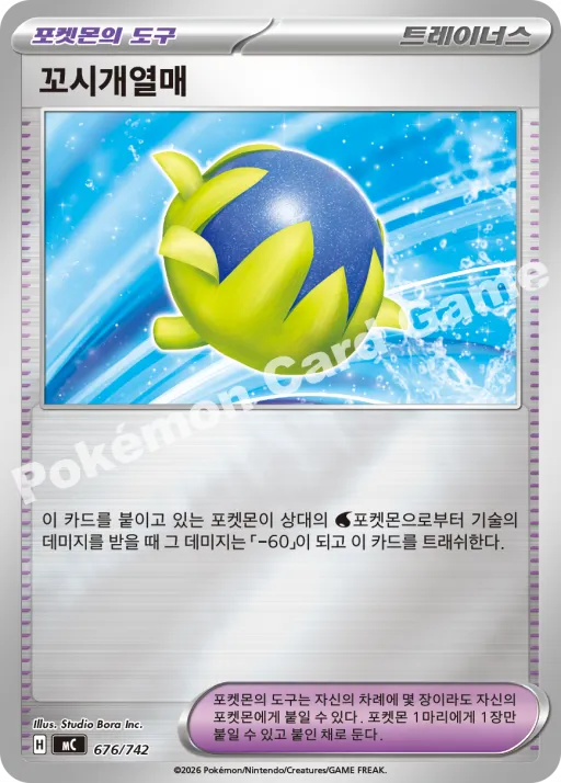꼬시개열매