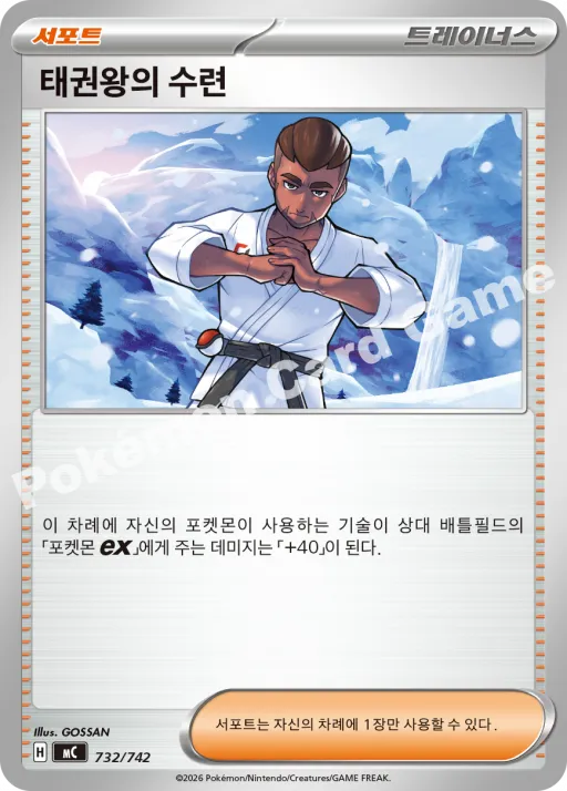태권왕의 수련