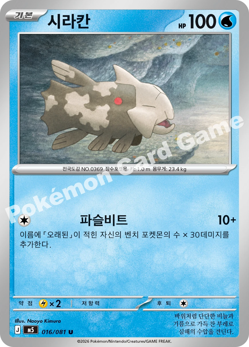 시라칸