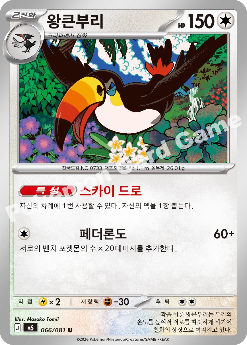 왕큰부리