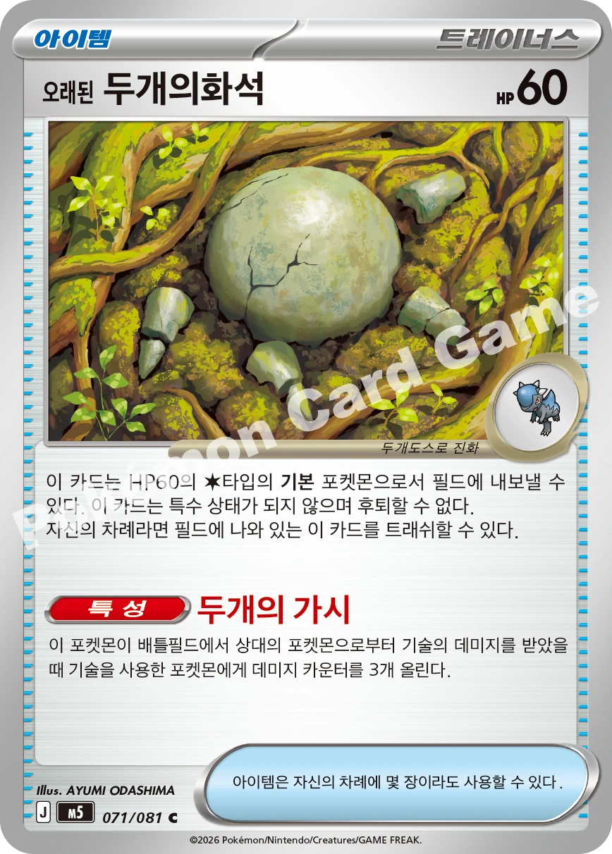 오래된 두개의화석