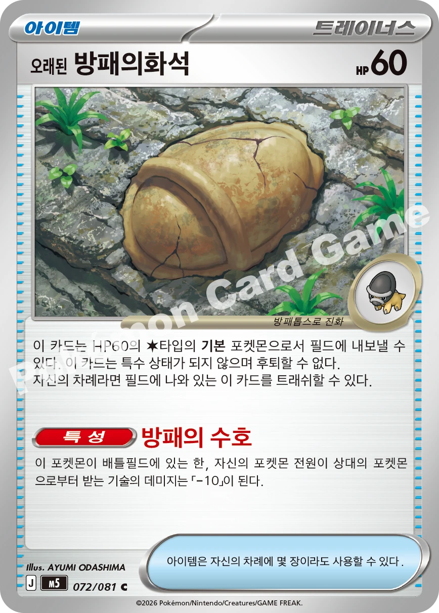 오래된 방패의화석