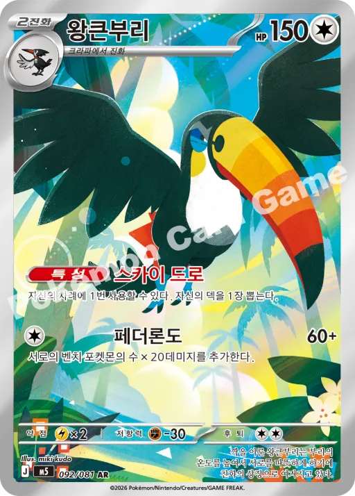 왕큰부리
